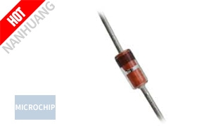 1N6013B