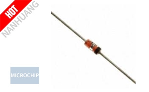 1N6021C