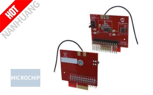 AC164137-2