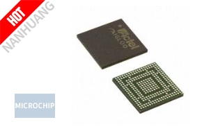 AGL600V5-CSG281