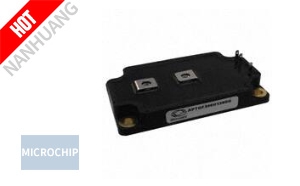 APTGF300U120DG