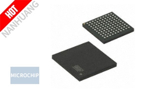 ATSAM4SD16CB-CN