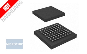 ATSAMD20J16A-CUT