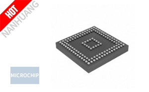 ATSAMD51P19A-CTFT