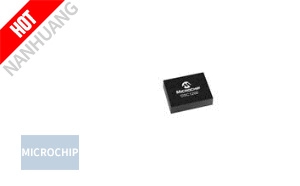 DSC1222DL1-156M2500T