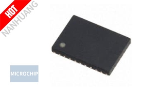DSC8101AL2T