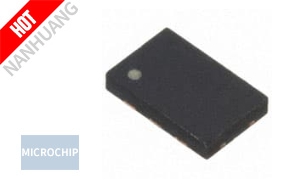 DSC8101BI2