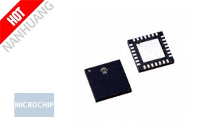 DSPIC30F2010-30I/MM