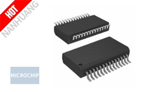 DSPIC33FJ16GP102-E/SS