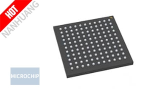 HV2815/AJA