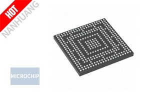 M2S060T-1FCS325