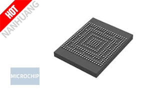 M2S090TS-FCS325