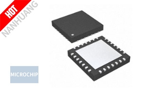 PIC24FJ64GP202-I/ML