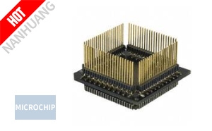 XLT84L1