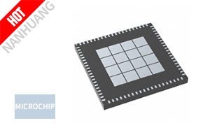 ZL30256LFG7