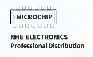 NHE ELECTRONICS, Professional Distribution