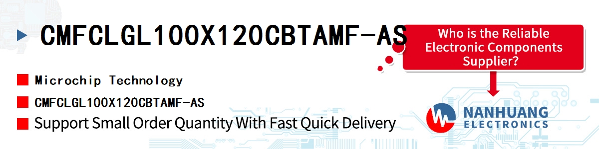 CMFCLGL100X120CBTAMF-AS Microchip CMFCLGL100X120CBTAMF-AS