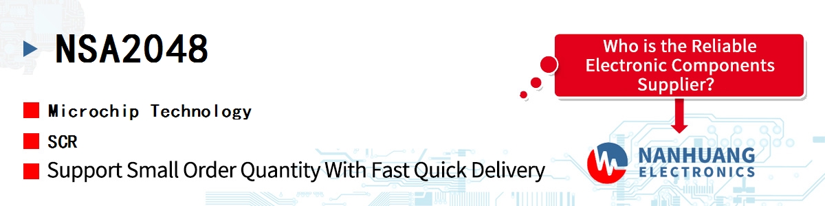 NSA2048 Microchip SCR